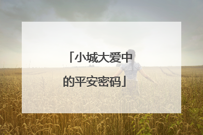 小城大爱中的平安密码