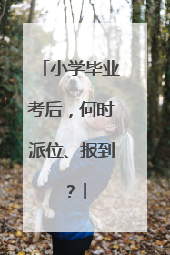 小学毕业考后，何时派位、报到？