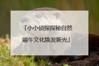 小小侦探探秘自然 端午文化焕发新光