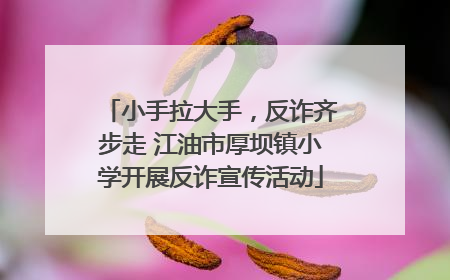 小手拉大手，反诈齐步走 江油市厚坝镇小学开展反诈宣传活动
