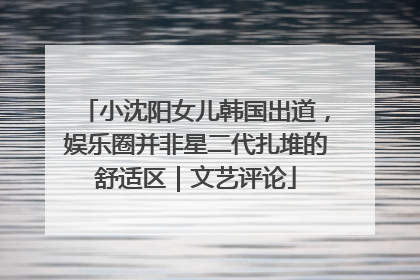 小沈阳女儿韩国出道，娱乐圈并非星二代扎堆的舒适区｜文艺评论