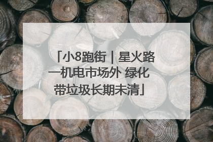 小8跑街｜星火路一机电市场外 绿化带垃圾长期未清