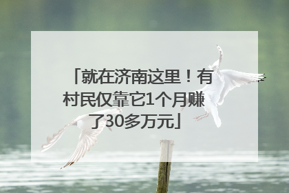就在济南这里！有村民仅靠它1个月赚了30多万元