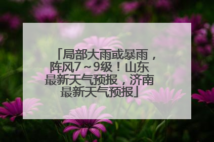 局部大雨或暴雨，阵风7～9级！山东最新天气预报，济南最新天气预报