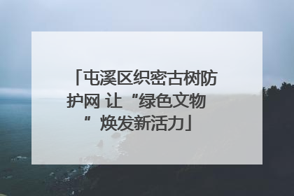 屯溪区织密古树防护网 让“绿色文物”焕发新活力