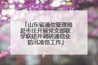 山东省通信管理局赴枣庄开展党支部联学联建并调研通信业防汛准备工作