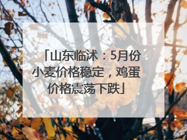 山东临沭：5月份小麦价格稳定，鸡蛋价格震荡下跌