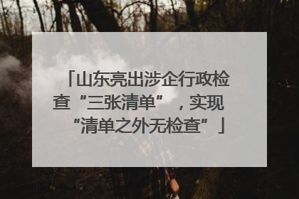 山东亮出涉企行政检查“三张清单”，实现“清单之外无检查”