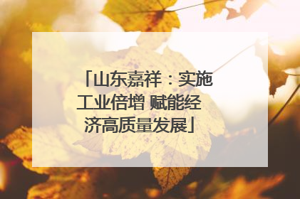 山东嘉祥：实施工业倍增 赋能经济高质量发展