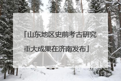 山东地区史前考古研究重大成果在济南发布