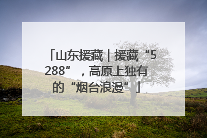 山东援藏｜援藏“5288”，高原上独有的“烟台浪漫”