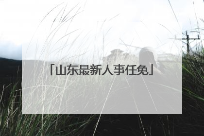 山东最新人事任免