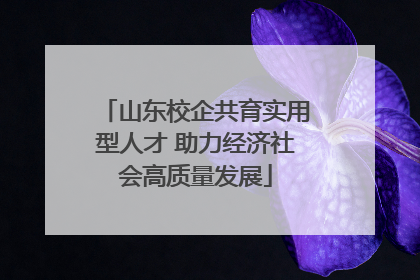 山东校企共育实用型人才 助力经济社会高质量发展