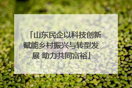 山东民企以科技创新赋能乡村振兴与转型发展 助力共同富裕