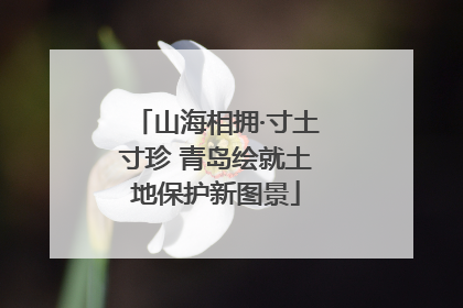 山海相拥·寸土寸珍 青岛绘就土地保护新图景
