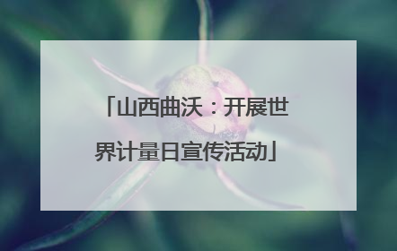 山西曲沃：开展世界计量日宣传活动
