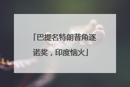 巴提名特朗普角逐诺奖，印度恼火