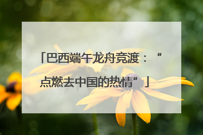 巴西端午龙舟竞渡：“点燃去中国的热情”