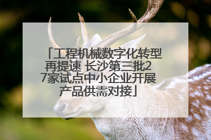 工程机械数字化转型再提速 长沙第三批27家试点中小企业开展产品供需对接