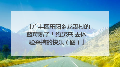 广丰区东阳乡龙溪村的蓝莓熟了！约起来 去体验采摘的快乐（图）