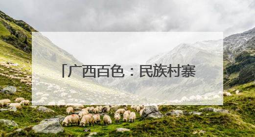广西百色：民族村寨里的 “致富鸡”