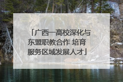 广西一高校深化与东盟职教合作 培育服务区域发展人才
