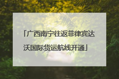 广西南宁往返菲律宾达沃国际货运航线开通