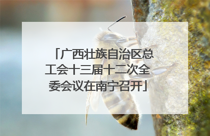 广西壮族自治区总工会十三届十二次全委会议在南宁召开