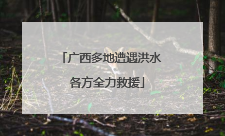广西多地遭遇洪水 各方全力救援