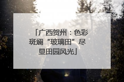 广西贺州：色彩斑斓“玻璃田”尽显田园风光