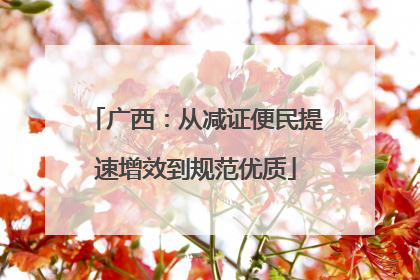 广西：从减证便民提速增效到规范优质