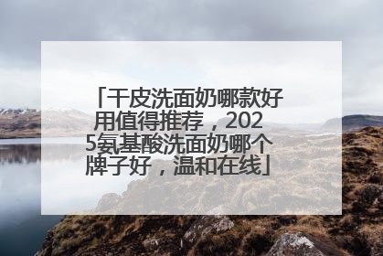 干皮洗面奶哪款好用值得推荐，2025氨基酸洗面奶哪个牌子好，温和在线