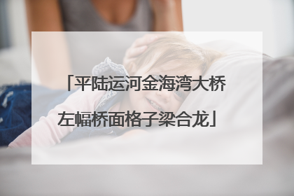 平陆运河金海湾大桥左幅桥面格子梁合龙