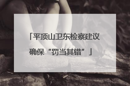 平顶山卫东检察建议确保“罚当其错”