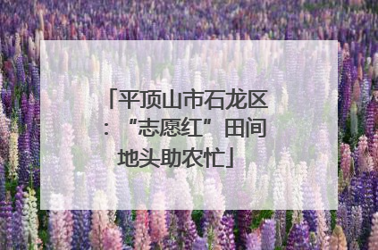 平顶山市石龙区：“志愿红”田间地头助农忙