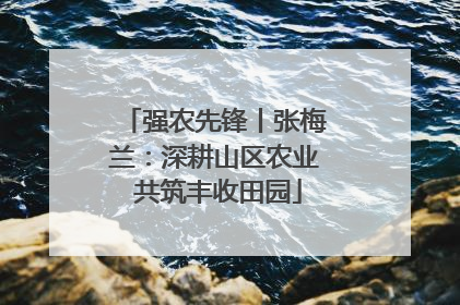 强农先锋丨张梅兰：深耕山区农业 共筑丰收田园