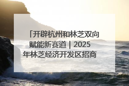 开辟杭州和林芝双向赋能新赛道｜2025年林芝经济开发区招商引资（杭州）推介展销活动在杭举办