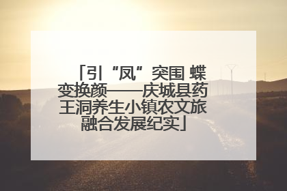 引“凤”突围 蝶变换颜——庆城县药王洞养生小镇农文旅融合发展纪实
