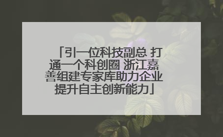 引一位科技副总 打通一个科创圈 浙江嘉善组建专家库助力企业提升自主创新能力