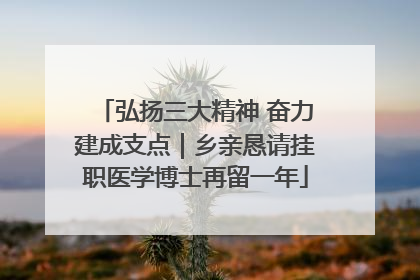 弘扬三大精神 奋力建成支点｜乡亲恳请挂职医学博士再留一年