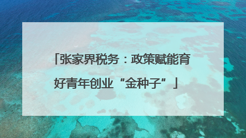 张家界税务：政策赋能育好青年创业“金种子”