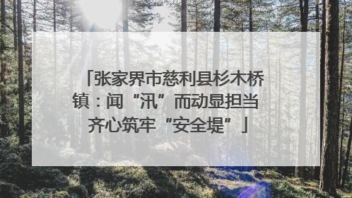 张家界市慈利县杉木桥镇：闻“汛”而动显担当 齐心筑牢“安全堤”