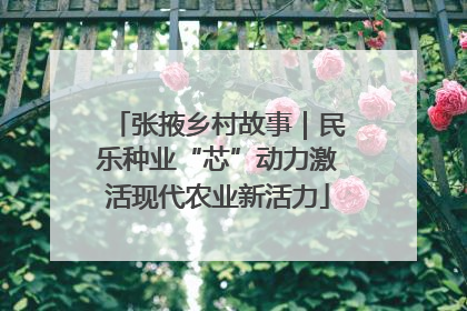 张掖乡村故事｜民乐种业“芯”动力激活现代农业新活力