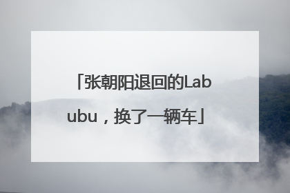 张朝阳退回的Labubu，换了一辆车