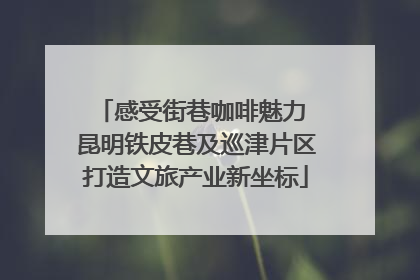 感受街巷咖啡魅力 昆明铁皮巷及巡津片区打造文旅产业新坐标