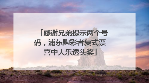 感谢兄弟提示两个号码，浦东购彩者复式票喜中大乐透头奖