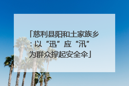 慈利县阳和土家族乡：以“迅”应“汛” 为群众撑起安全伞