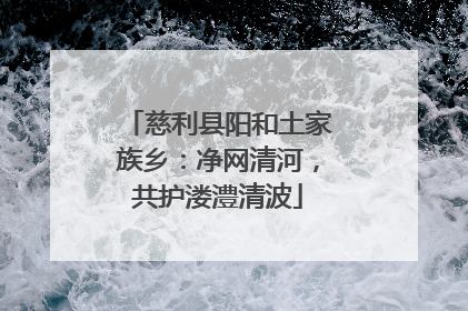 慈利县阳和土家族乡：净网清河，共护溇澧清波