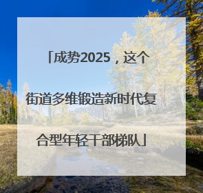 成势2025，这个街道多维锻造新时代复合型年轻干部梯队