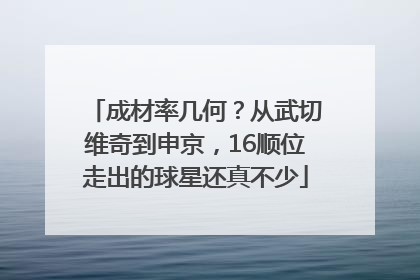 成材率几何？从武切维奇到申京，16顺位走出的球星还真不少